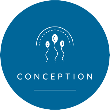 Nbd Icon Conception