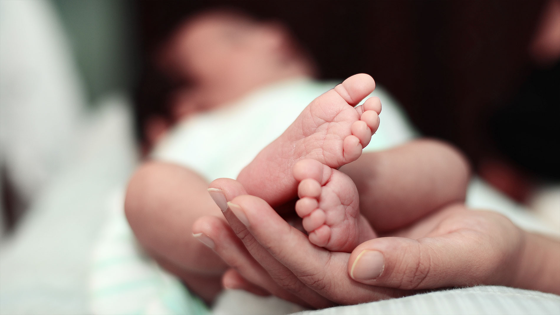 Nurturing Birth Directory Safe Hands